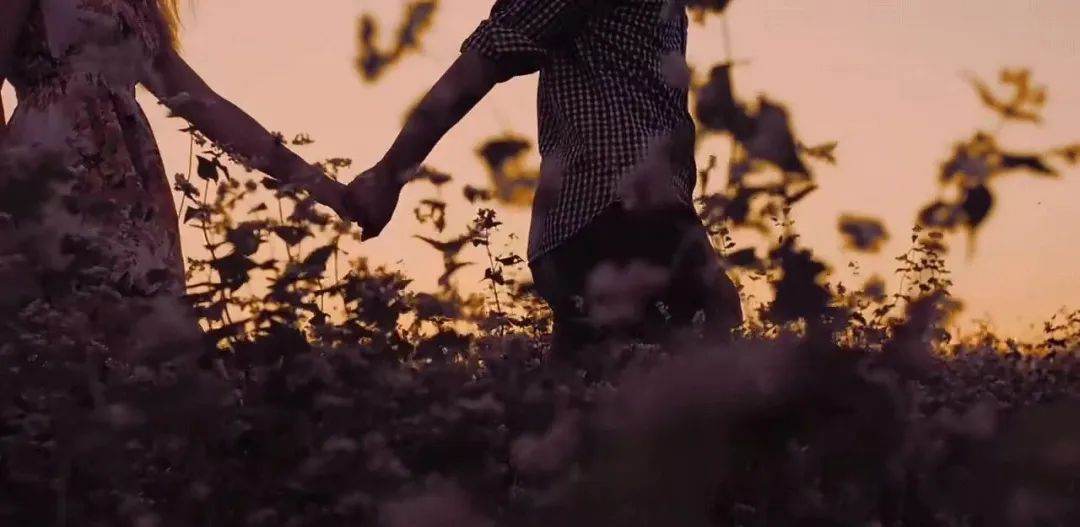 【情感剧场】：（陕西乾县杨朝阳）生计（上）