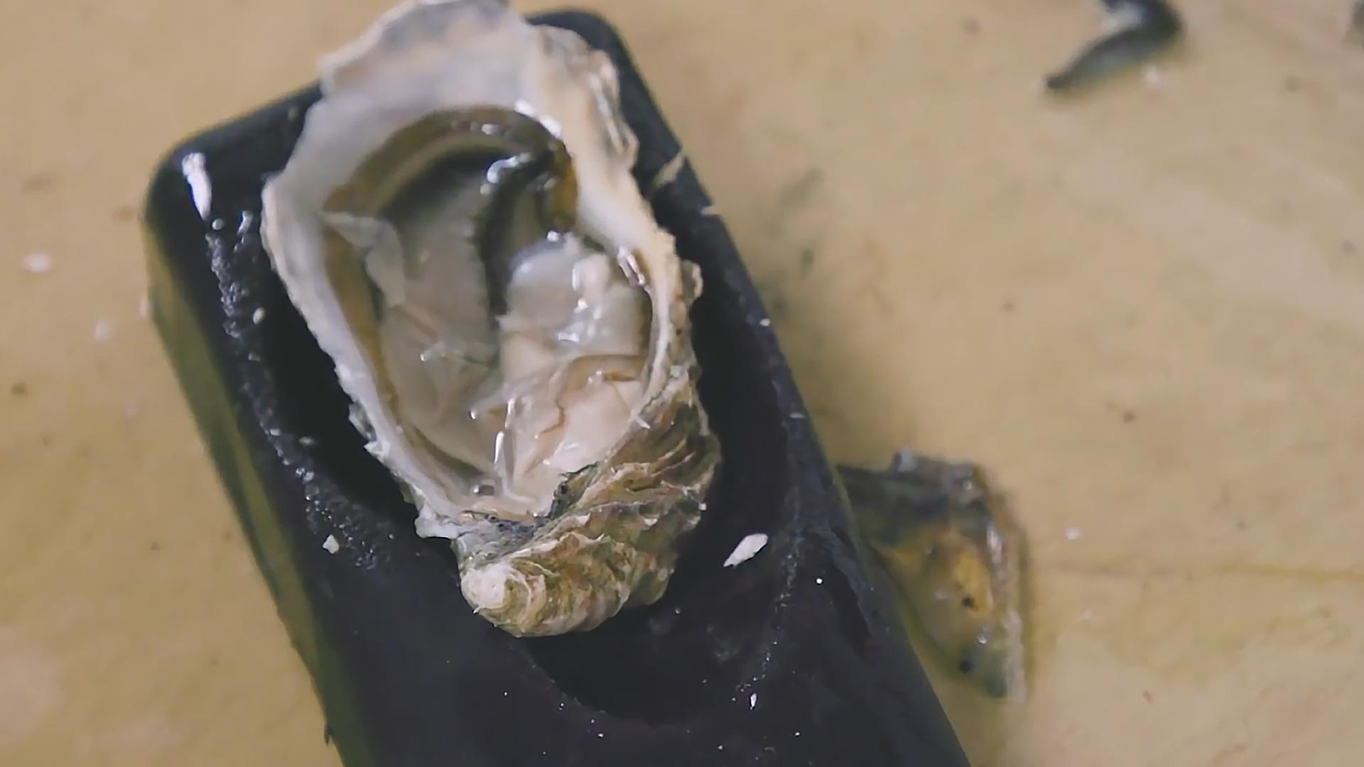 水母无法在冬天存活,水母不动了还能活吗