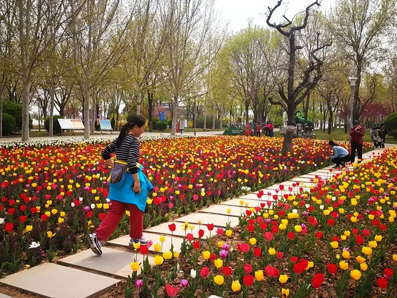 在东营五一假期应该去哪玩,东营人五一旅游攻略自由行