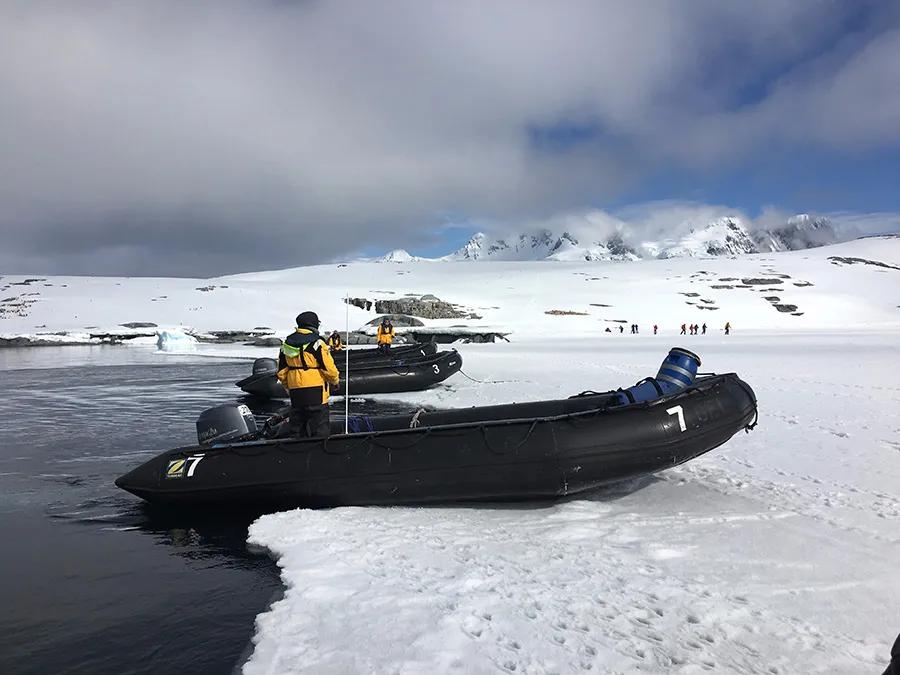 我在南极养企鹅,我在南极的日子
