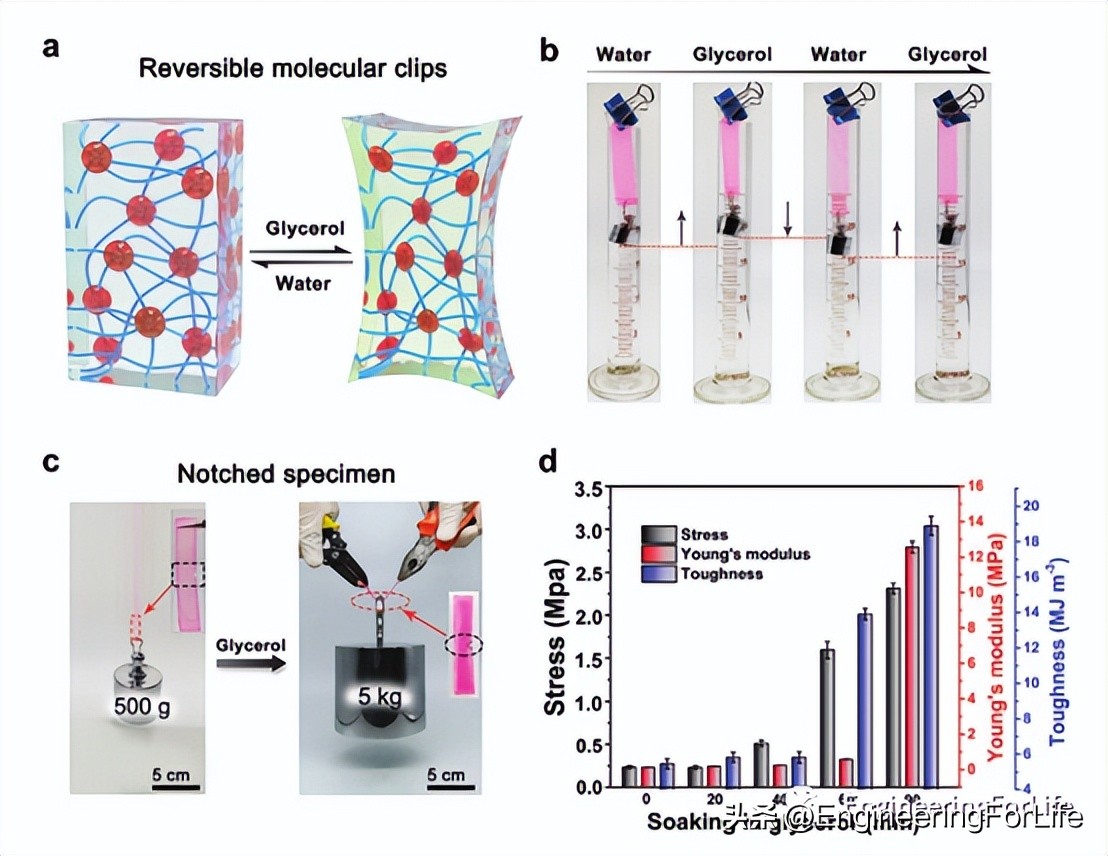 afm在纳米材料上的应用,afm有何应用