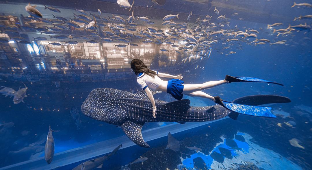 成都便宜的运动场地有哪些,家门口运动场地