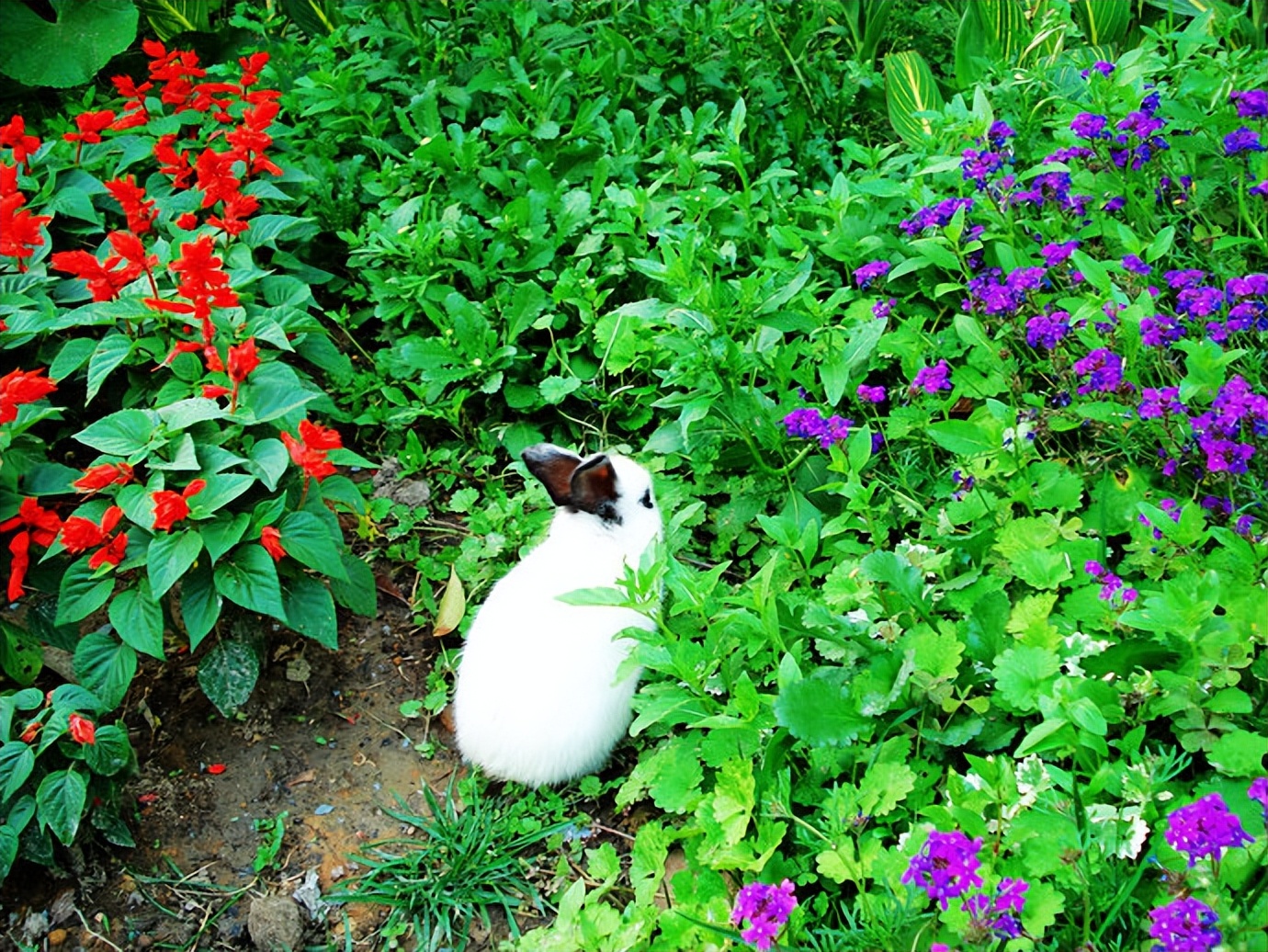 慢游放松体验,杭州慢时光游玩攻略