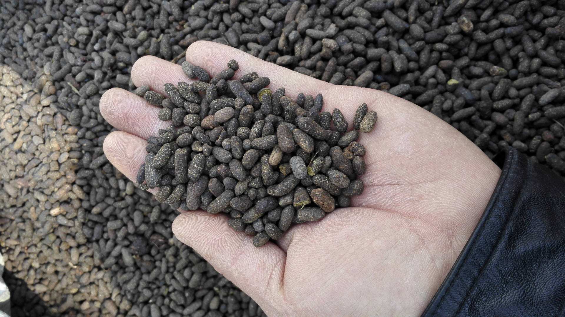 息肉、结节切了又长？送你一个小金丸，破结散瘀，化痰通络