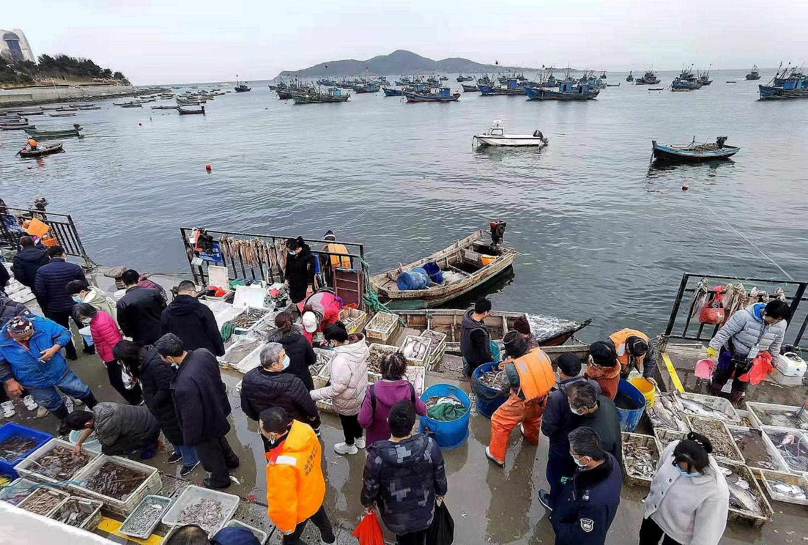 陶俊峰“美拍”威海老家海鲜“供年货”哈——《环翠楼下鱼市忙》
