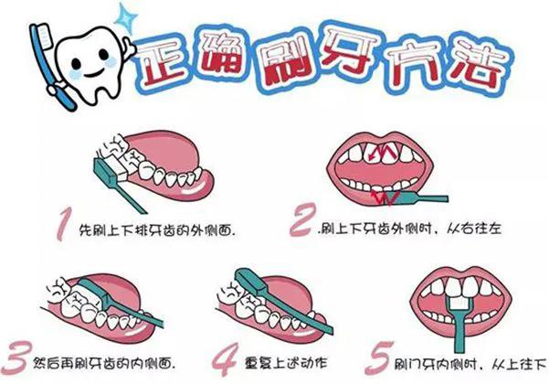 晚上睡前不刷牙对牙齿有影响吗,睡前喝牛奶不漱口对牙齿好不好