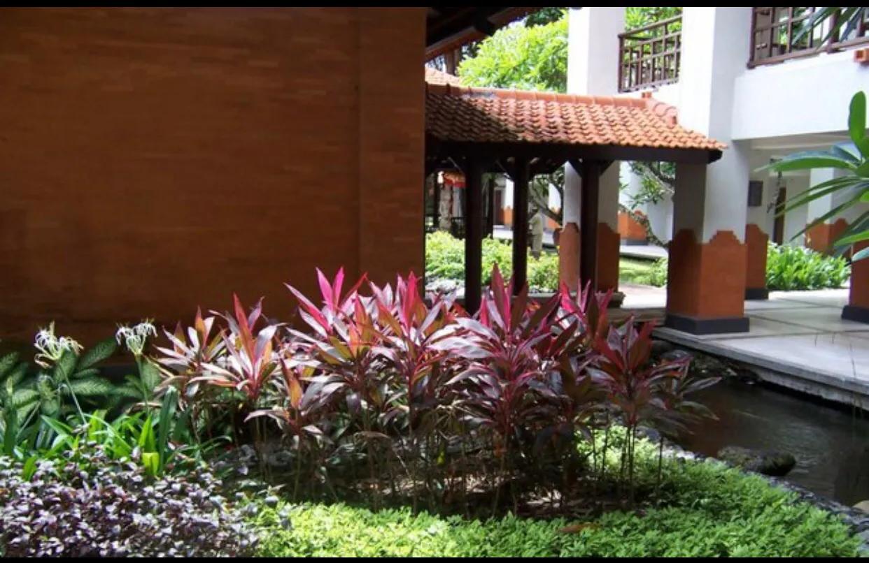 疫情期间提升免疫力的心态,疫情期间强身健体提高免疫力