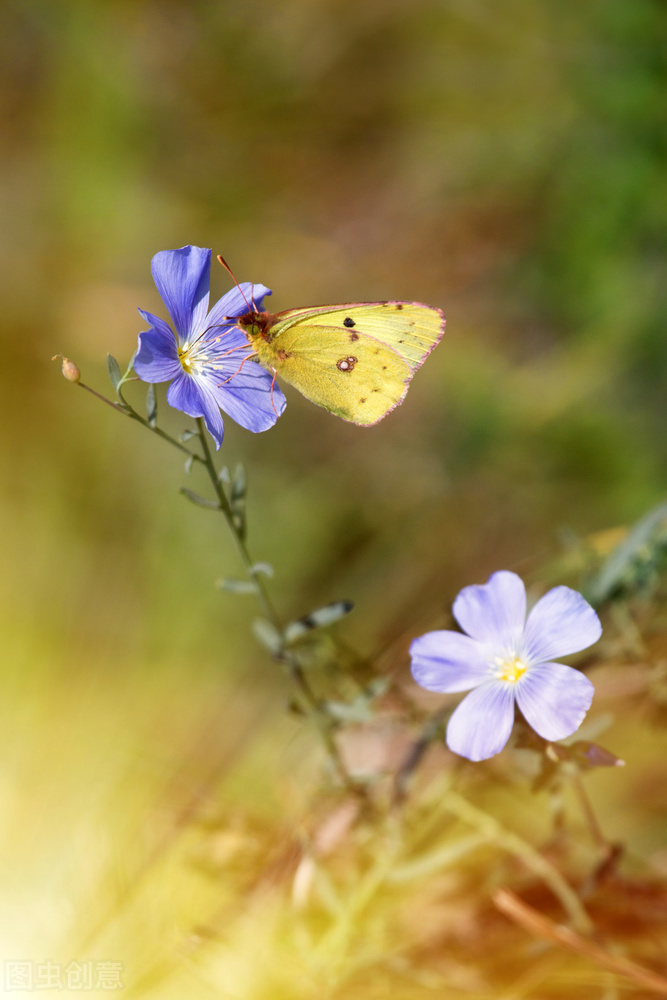 想知道大家的微信个性签名是什么,大家的微信个性签名都是什么