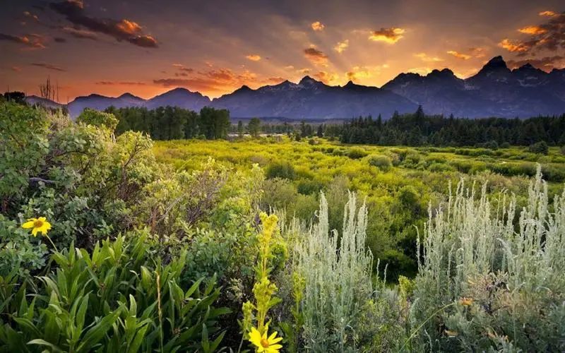 形容早上阳光明媚的句子有哪些,形容秋冬早上晨光的优美句子