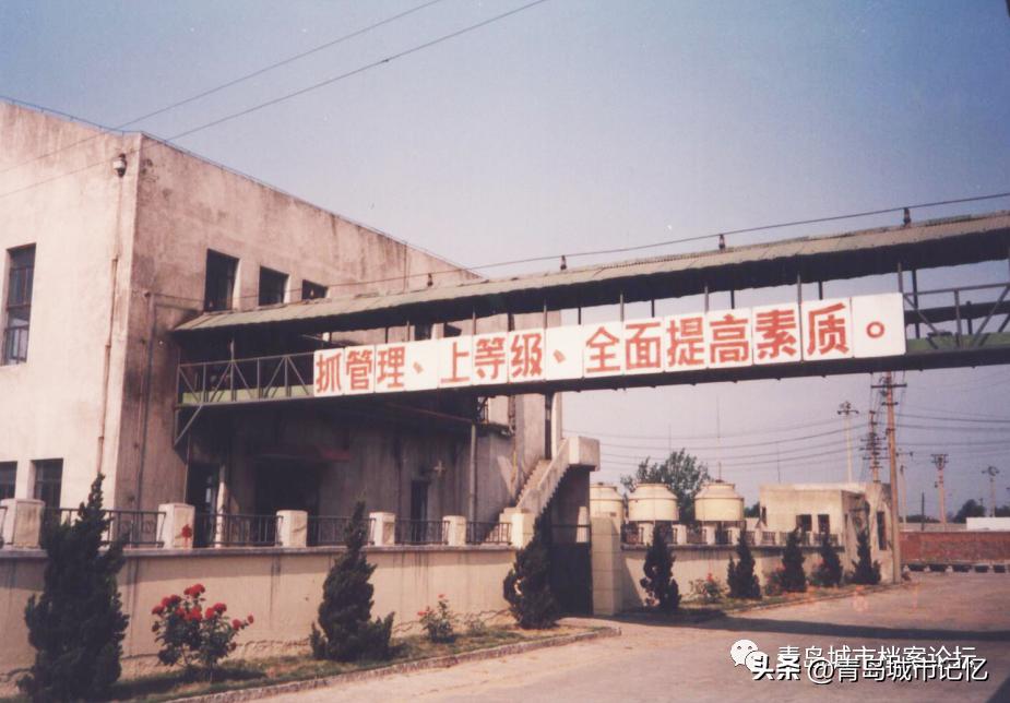 青岛历史最悠久的花生油,青岛长生花生油