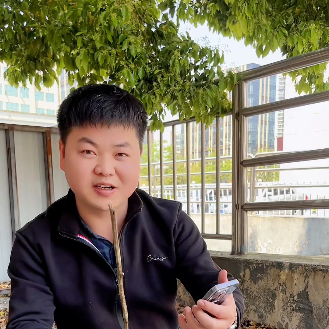 买二手特斯拉要注意哪些问题,特斯拉官网的二手特斯拉可以买吗