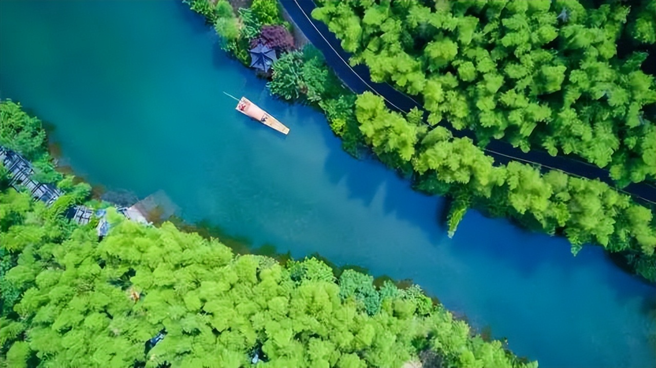 南山竹海御水温泉竹溪谷酒店,御水温泉竹溪谷酒店赏竹