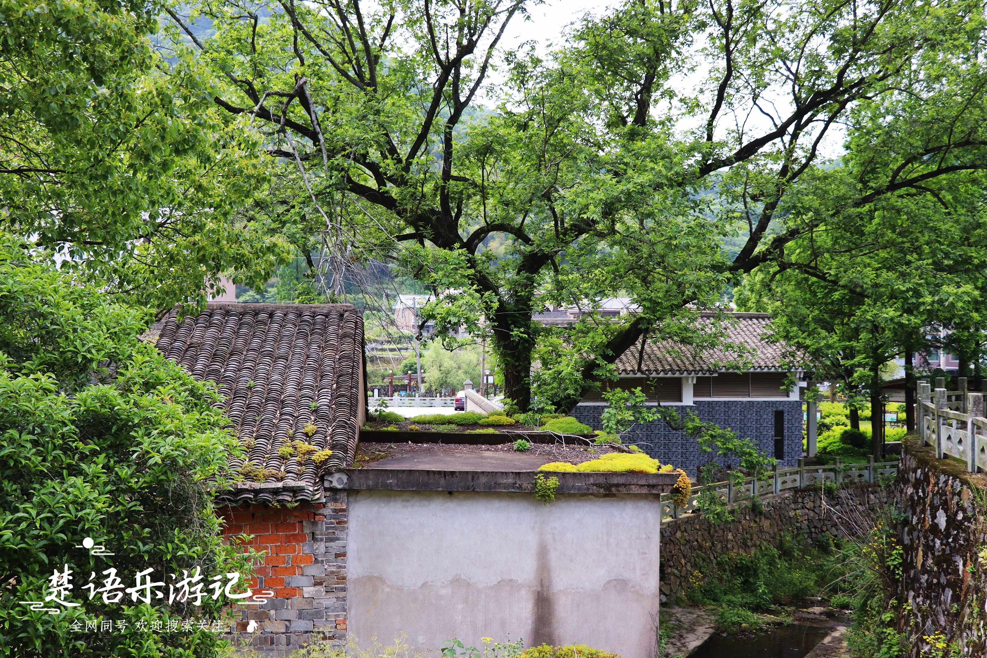 陕西省太白县是最佳避暑胜地吗,太白度假旅游景点