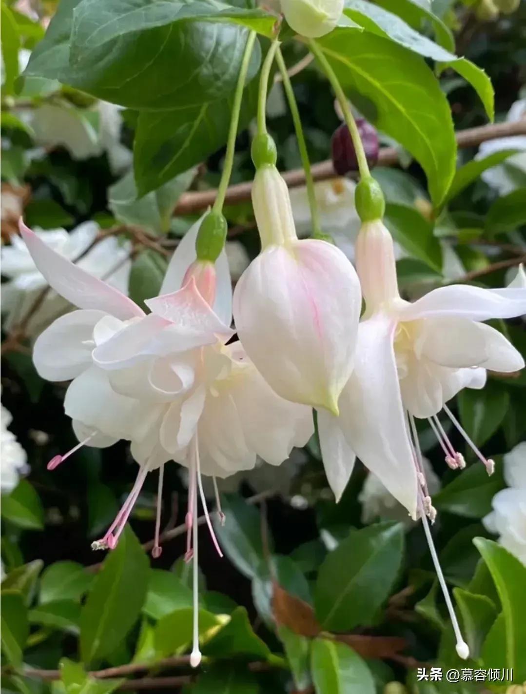 第十四章23小三乱了家庭