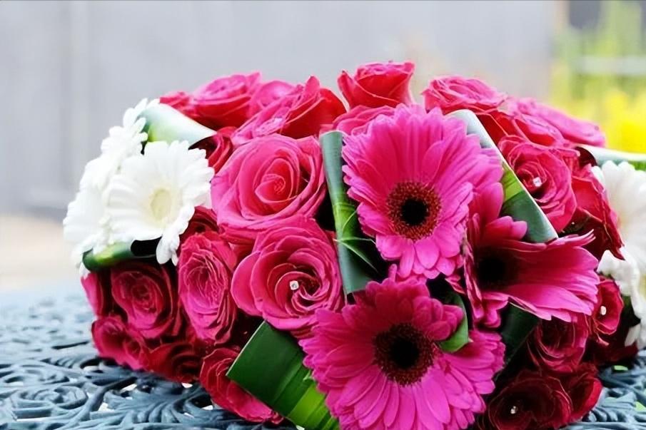 在小城市的创业项目,大学生小城市创业项目