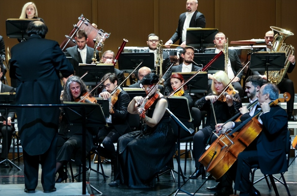 肖邦的风格把握,肖邦曲式分析报告怎么写