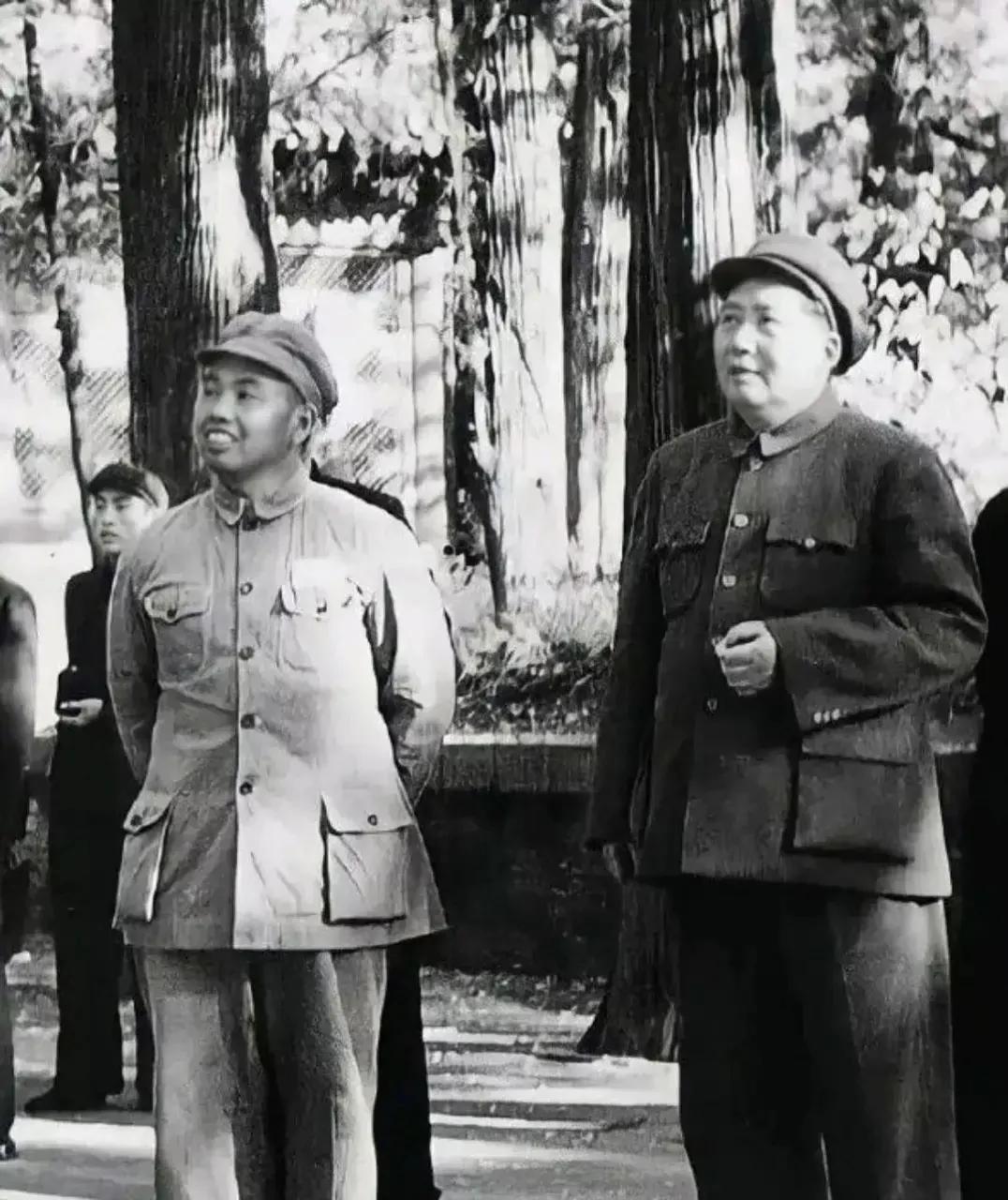 1951年，毛主席听到黄祖炎被害后，为何会在悲痛之余连下三道批示