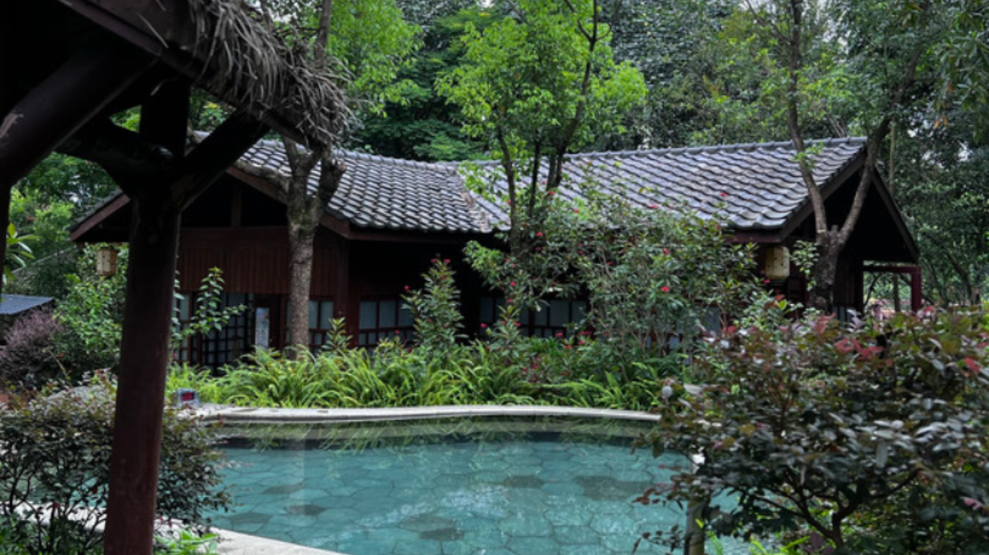 广东最值得推荐的温泉度假村,广东第一峰温泉是真温泉