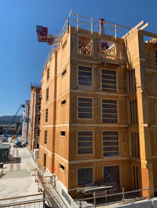 特鲁多最新采购,特鲁多买房政策