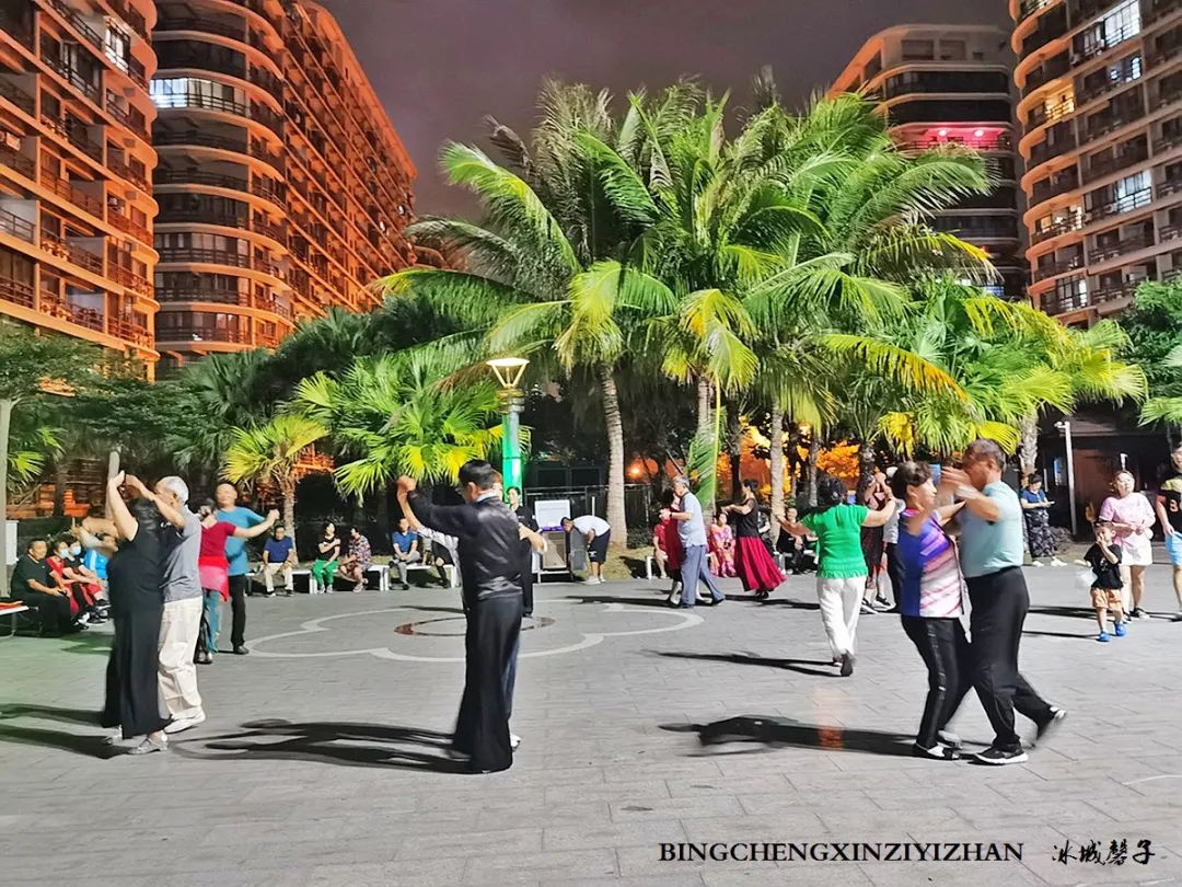 旅居海南：九所新区的浪漫情