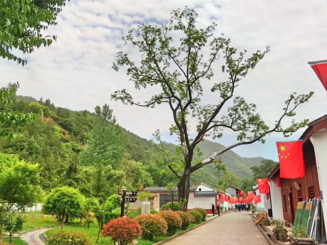 喜迎二十大之经济建设,喜迎二十大高质量发展