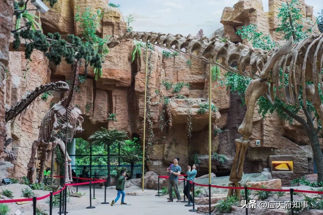 来南京不能错过的小众打卡地,南京江宁小众打卡点