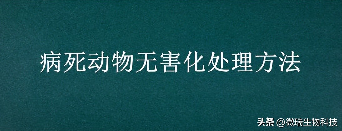 畜禽养殖粪污生物无害化处理,动物尸体无害化处理有机肥