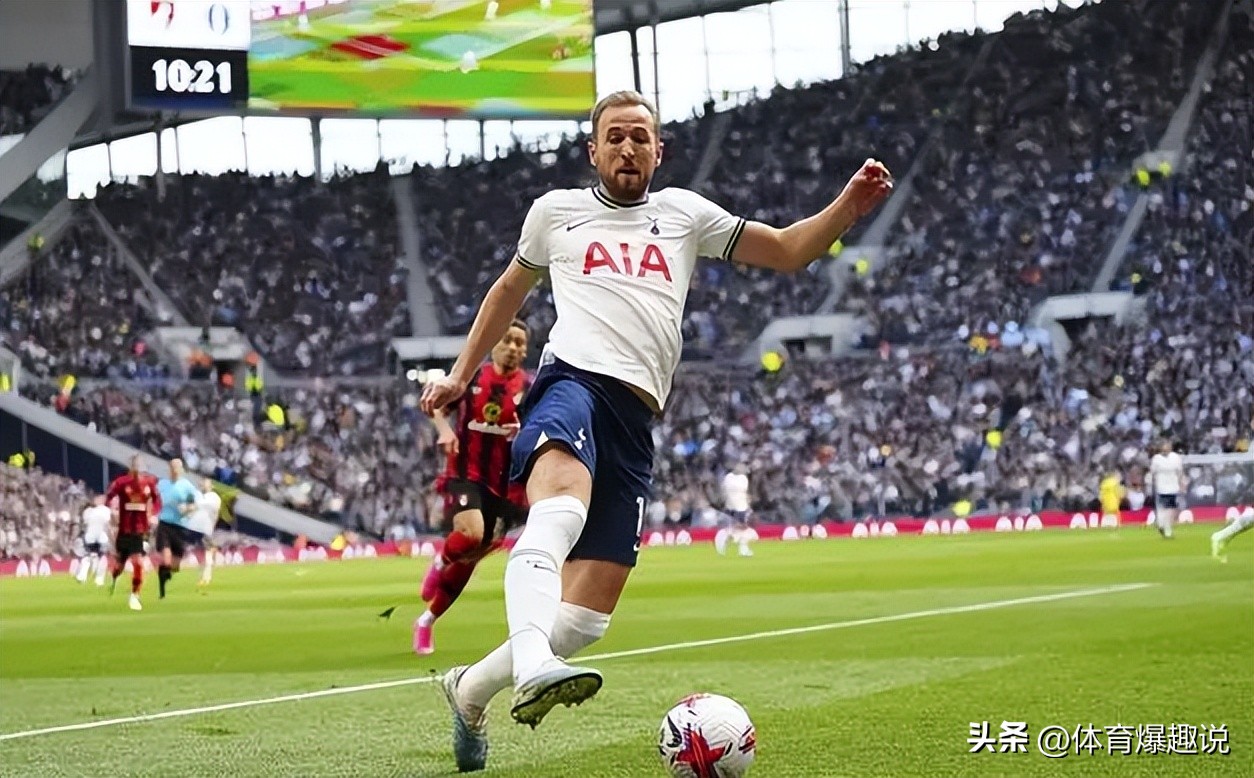 拜仁凯恩多少钱,拜仁1.1亿欧报价凯恩球迷