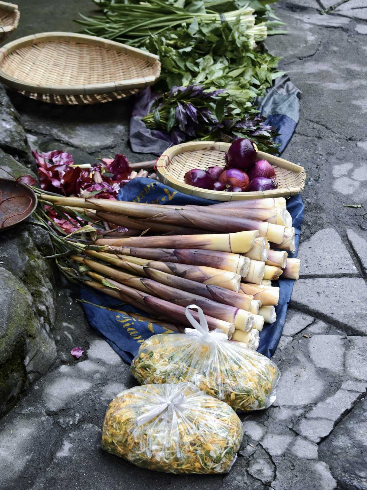 乐山异国风情打卡新去处,乐山游玩攻略及人文风情