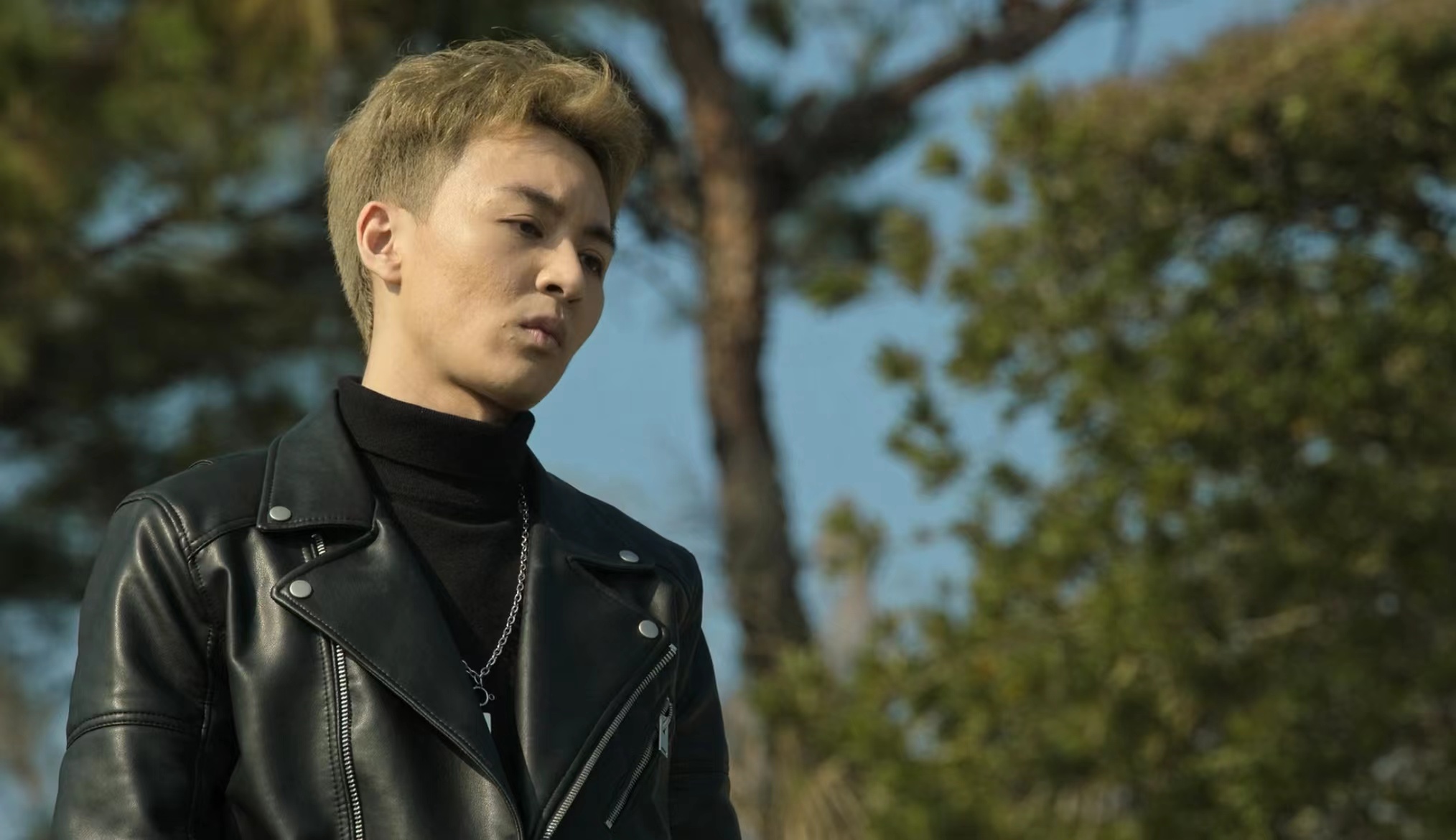 狂飙陈书婷和高启强结婚是哪一集,狂飙陈书婷为什么会嫁给高启强