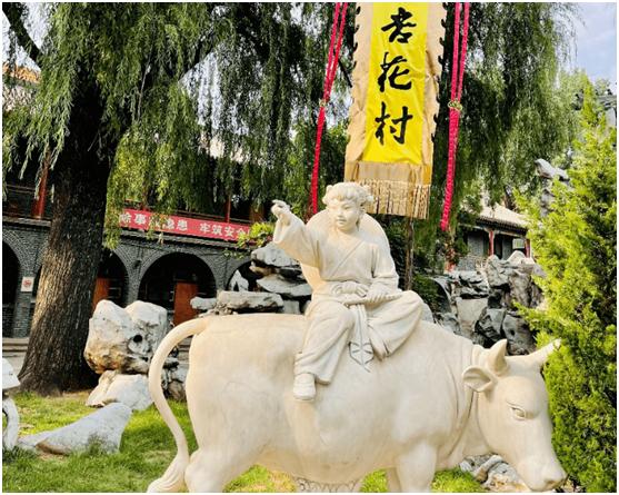 黄盖玻汾和汾阳王，到底谁是正宗山西味？囤货不急，建议弄懂再喝