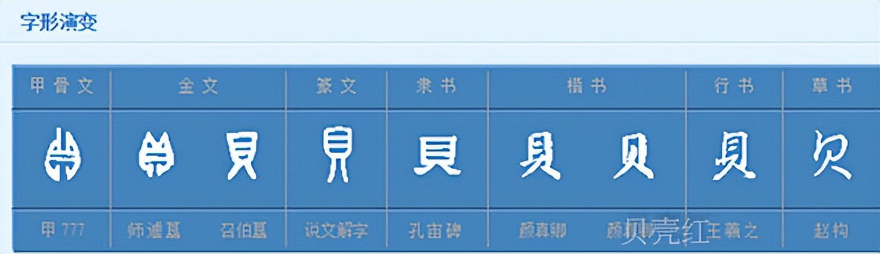 海南海鲜贝类有哪些,海南海鲜贝类