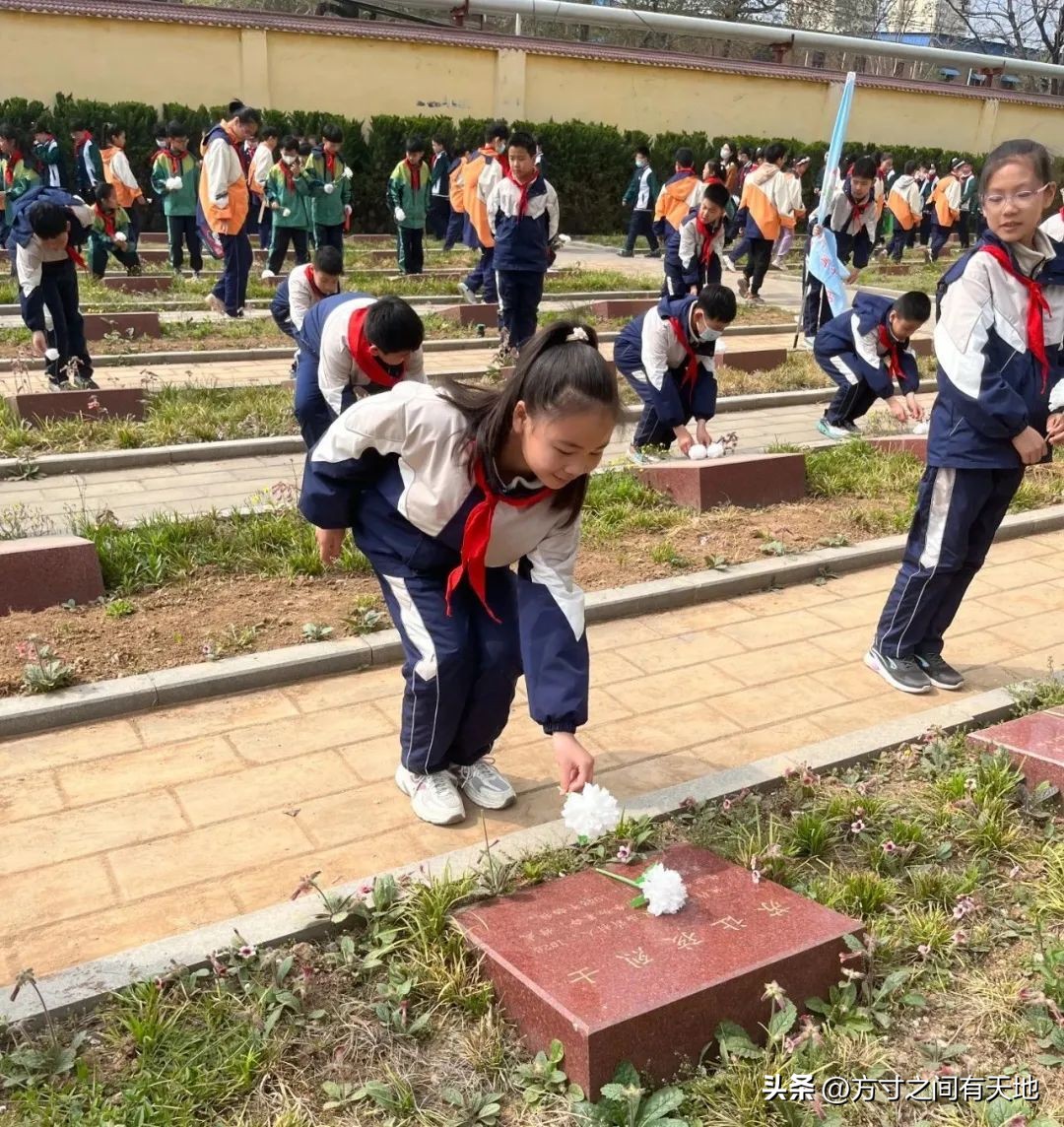 我们的节日清明主题活动情况汇报,我们的节日清明节活动开展情况