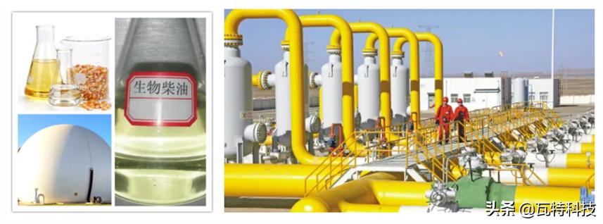 提取生物柴油的最佳原料,生物柴油提炼全过程