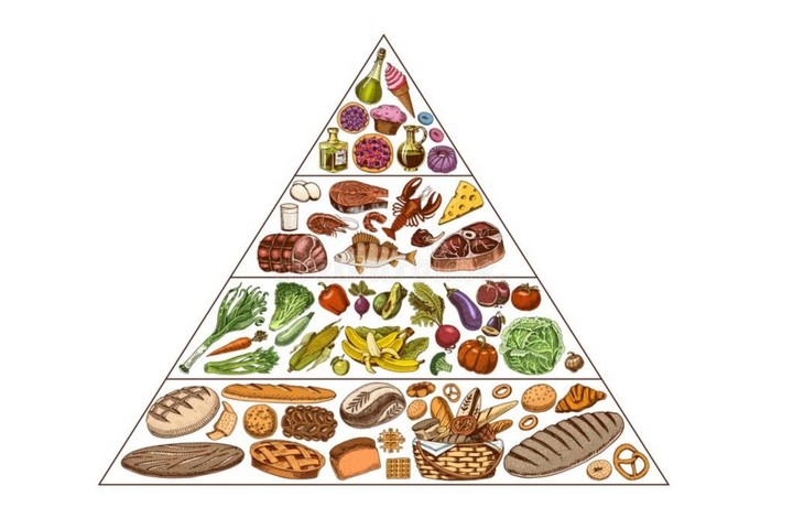 强迫狗狗吃狗粮好不好,宠物犬不给饭吃被疯狂虐待