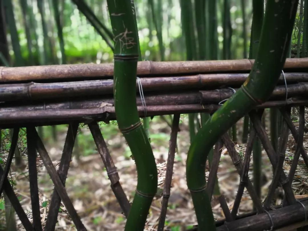 隐藏在秦岭深处,秦岭最美小镇留坝