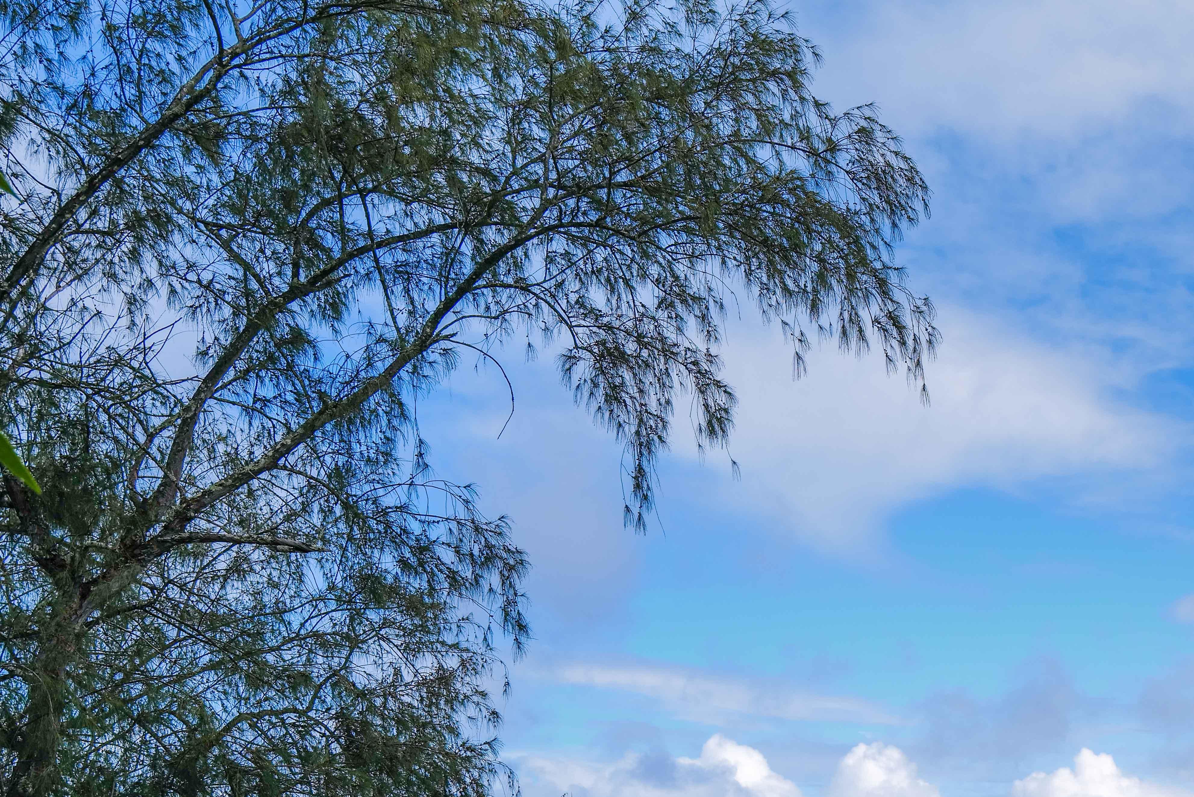 世界十大火山之埃里伯斯火山,世界上最令人惊叹的火山景观