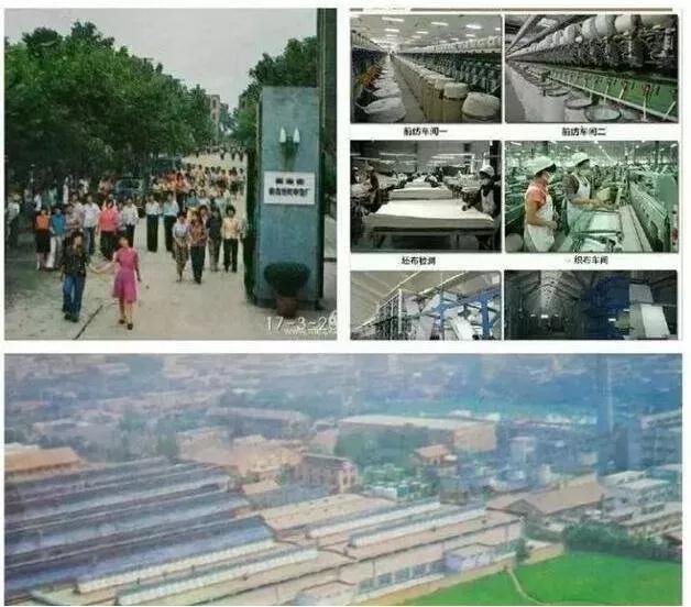 湖南桃源纺织印染厂2000年,湖南桃源纺织印染厂简介