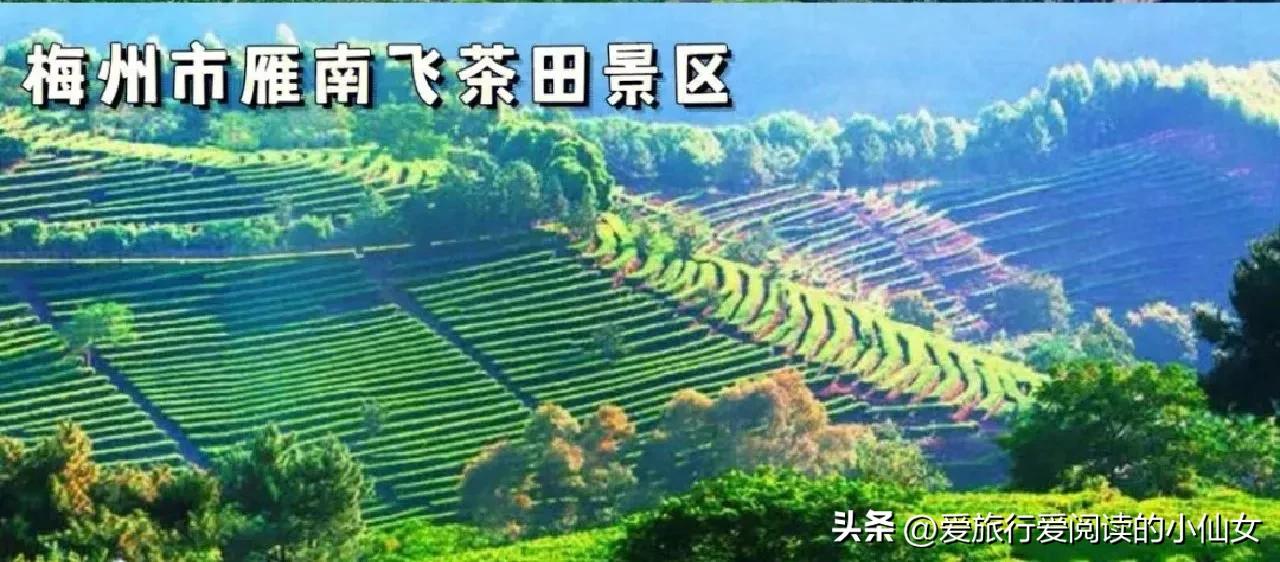 广东旅游攻略自由行十大景点,广东境内旅游景点自由行大全