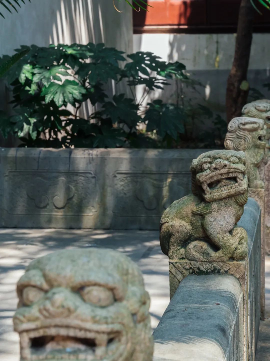 520年一遇，2022上海最浪漫打卡地出炉