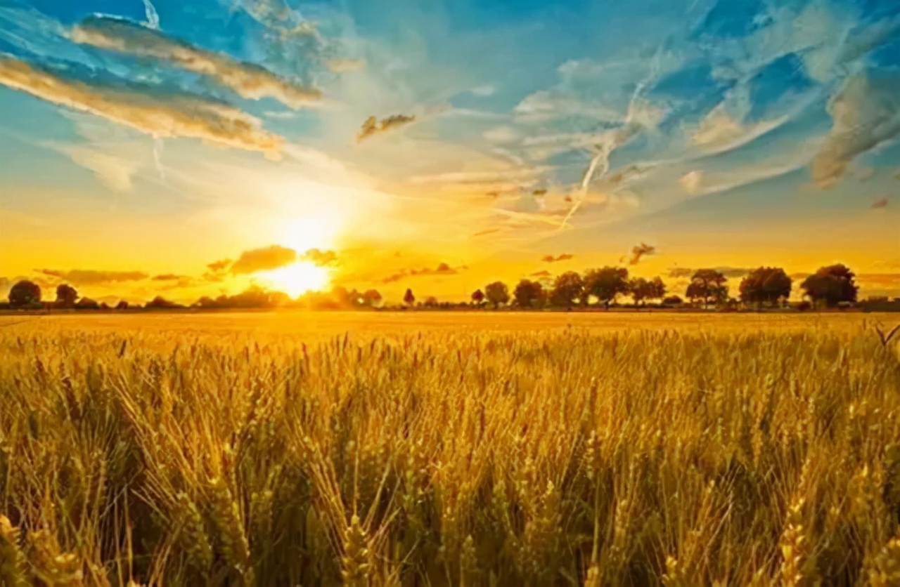 美国无法阻止中国的崛起,美国难以超越吗