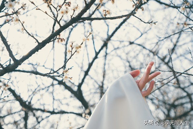 我想你诗词表达,最美的想你用诗词来表达