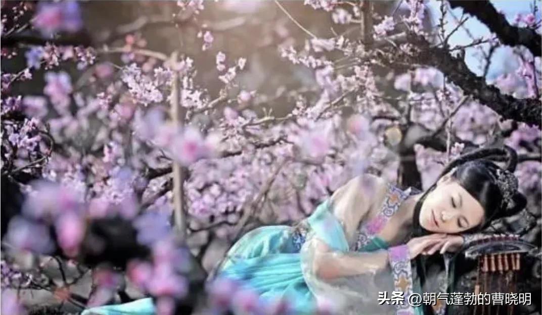 娌冲崡淇￠槼鎭幙鍘嗗彶鏂囧寲,娌冲崡淇￠槼鍘嗗彶鏂囧寲涔嬫梾