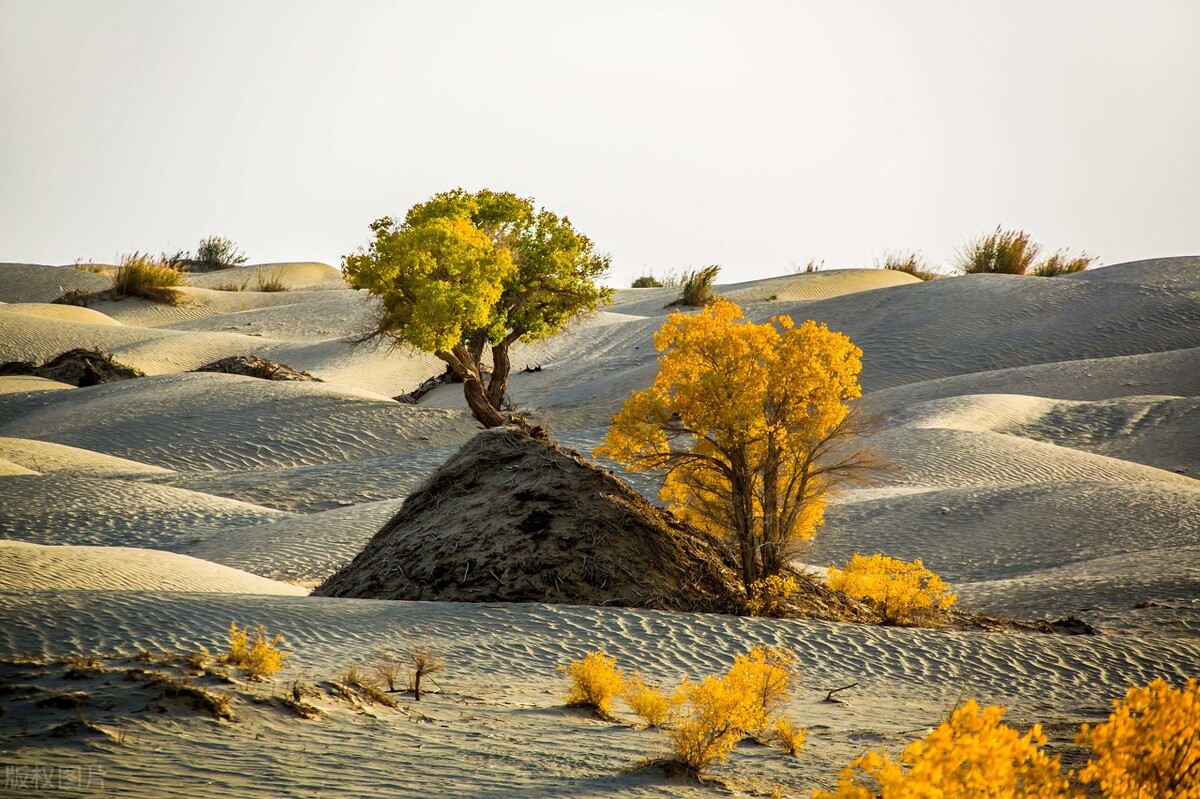 不到*疆新**，不知中国之大，不包邮的*疆新**到底有多大？