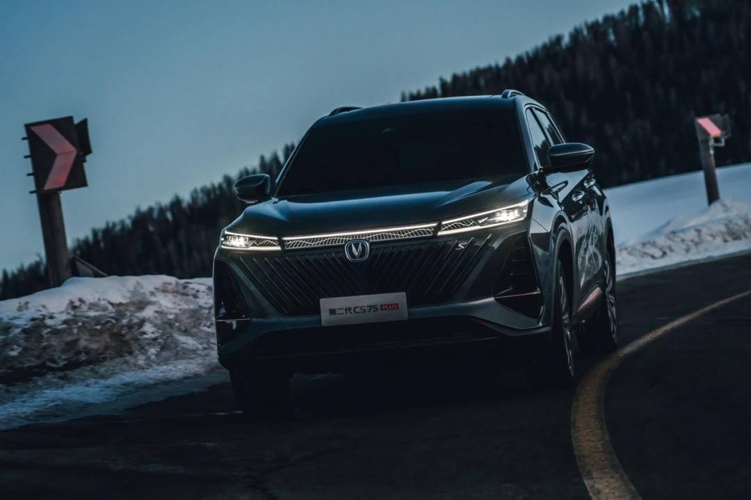 世界杯决赛中国对战巴西,世界杯决赛中国vs巴西