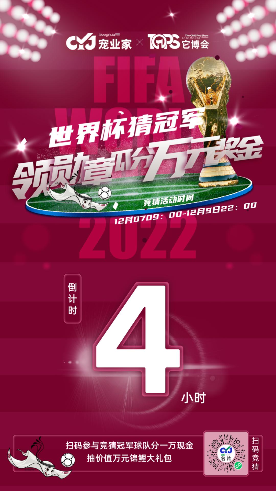 除了低压力洗护，低压力宠物医疗也要来了