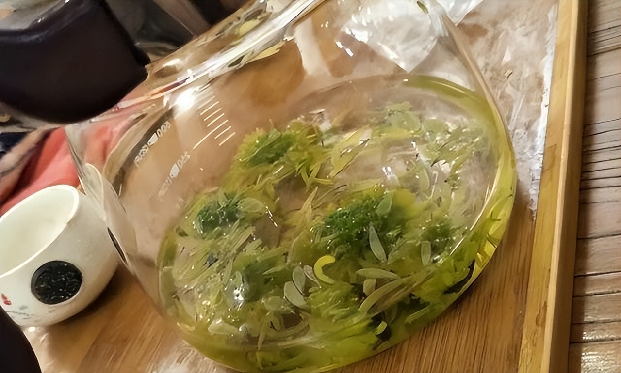 40岁喝菊花决明子茶好吗,年龄大了要忌茶