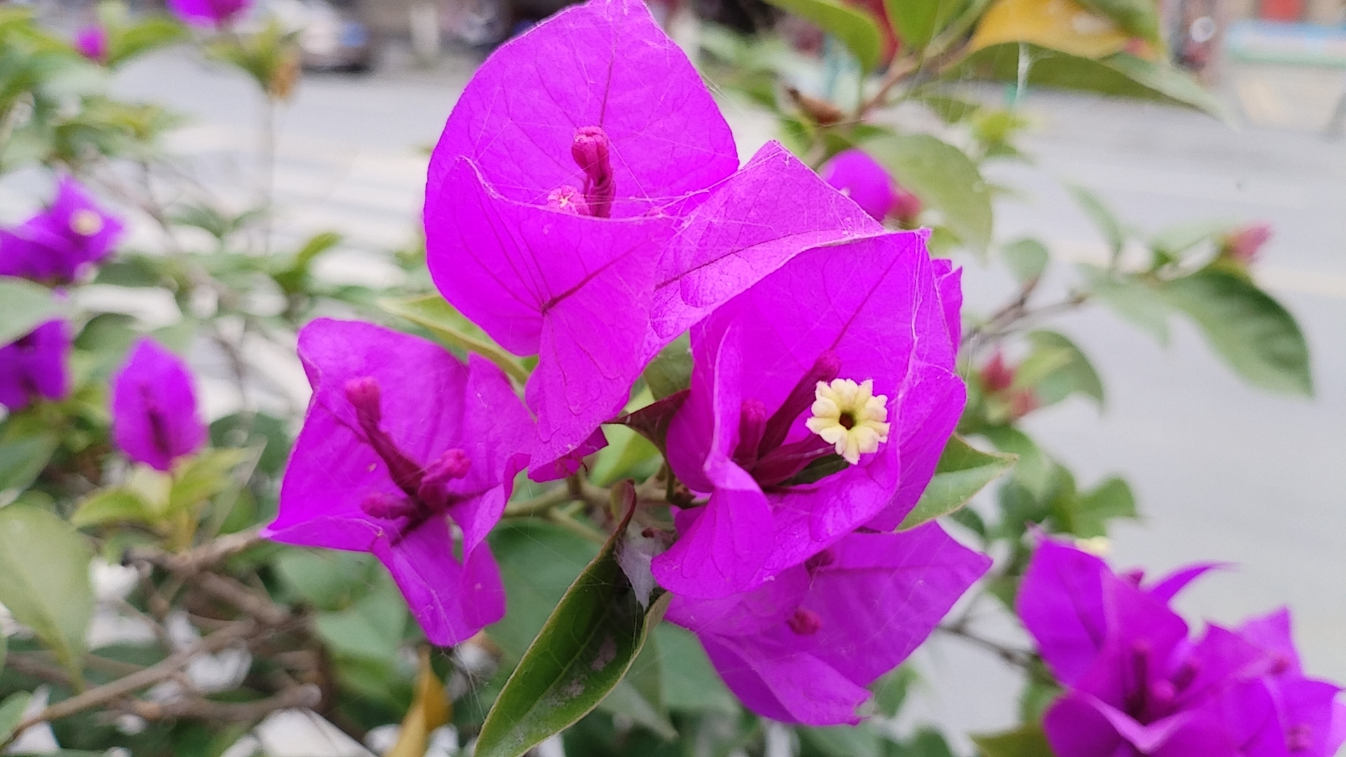 如何当好教研组长幼儿园,如何当好教研组长心得