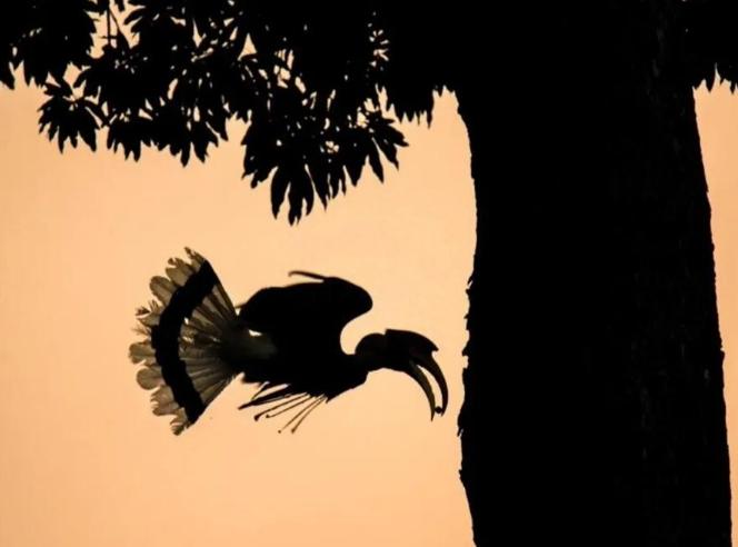 涓栫晫鍗佸ぇ瓒呮ā韬潗鍥剧墖鍥炬枃,涓栫晫鍗佸ぇ瓒呮ā鎯婅壋鍐欑湡