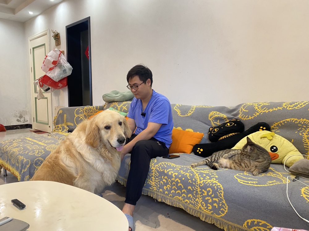 夫妻救助两条弃犬被控盗窃罪文书,喂养弃狗判刑后续